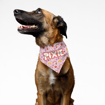 PawsIndia Customized Pet Bandana - Valentine's Edition Love In The Air